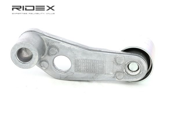 Polia de desvio / de guia, correia dentada RIDEX 313D0049