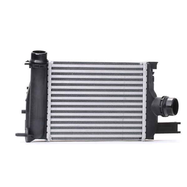 RIDEX Intercooler