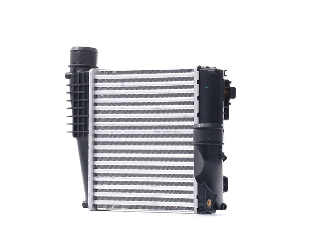 RIDEX Intercooler