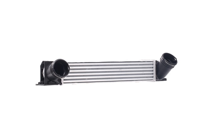 RIDEX Intercooler