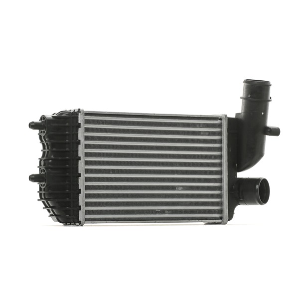 Radiator intercooler RIDEX 468I0163