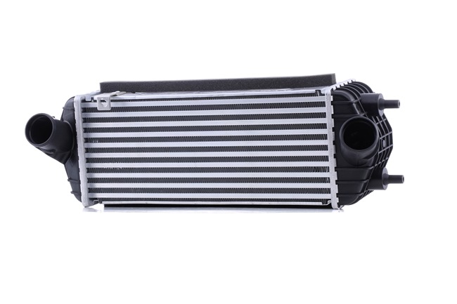 RIDEX Intercooler