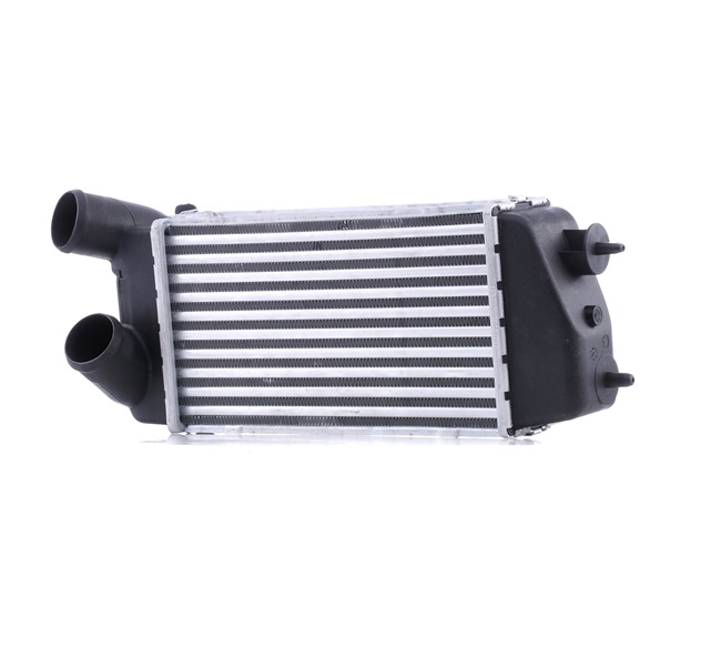 RIDEX Intercooler