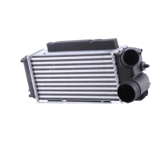 RIDEX Intercooler