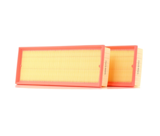 RIDEX Filtro aria