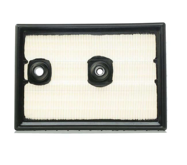 RIDEX Filtro aria