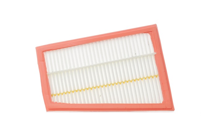 RIDEX Filtro aria